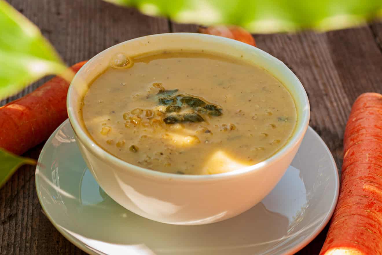 Vegane herzhafte Grünkernsuppe - Mehr-als-Rohkost.de