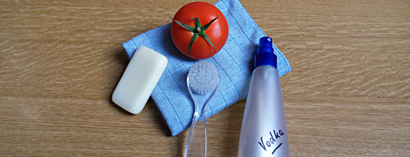 Hygiene gegen EHEC