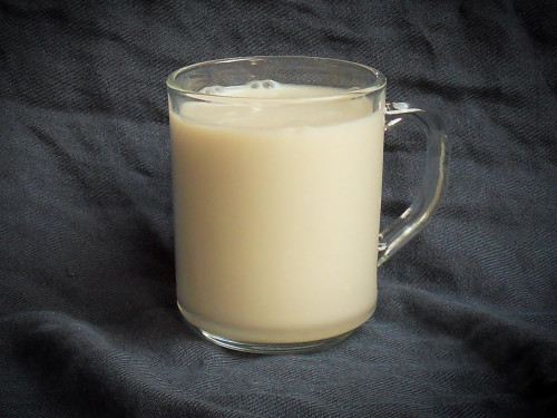 Rohkost Hanfmilch